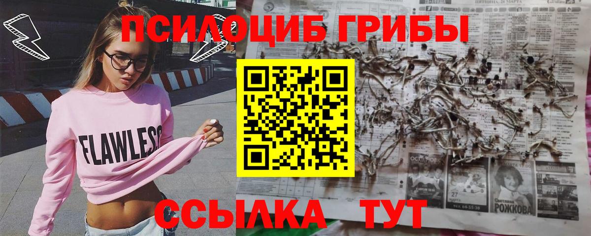 Галлюциногенные грибы Magic Shrooms  Галлюциногенные грибы прущие грибы  Дубна  Вход с VPN 