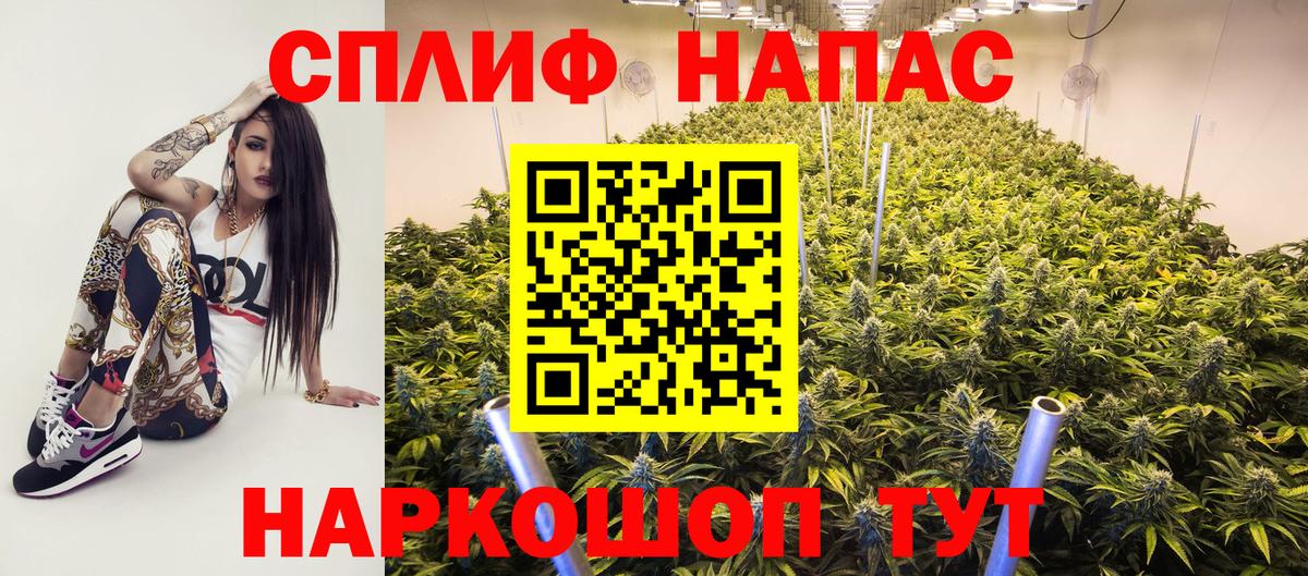 Марихуана сатива Дубна