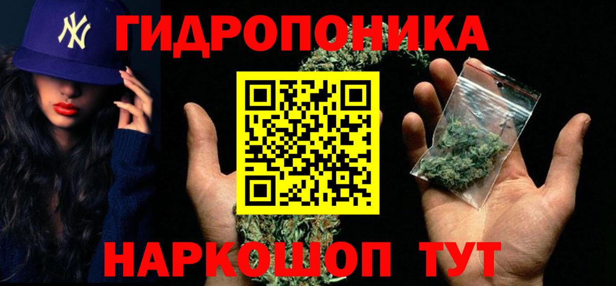 Бошки Шишки Дубна